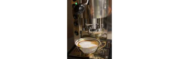Pinocchio CV - Kaffee + Dampf