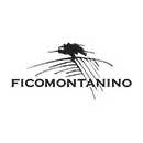  Cantine Ficomontanino Toscana 
 Das Weingut...