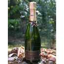 Extra Brut Millesime - Franciacorta DOCG 2016 - 0,75 Liter - 12,5 vol. - Bersi Serlini