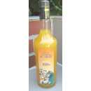 Orangenlik&ouml;r an Anis - Anice e Arancia - 1,0 Liter - 27 vol. - Flasche: Cristal - LOro di Amalfi
