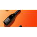 Brùt Satèn 2016  - Franciacorta DOCG - Contadi Castaldi