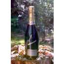 Satèn - Franciacorta DOCG - 0,75 Liter - 12,5 vol....