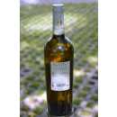 Fiano di Avellino 2013 - Campania DOCG - Weißwein - Nativ